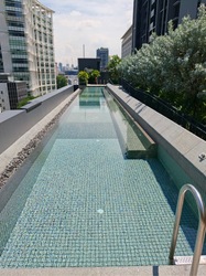 The M (D7), Apartment #562469841